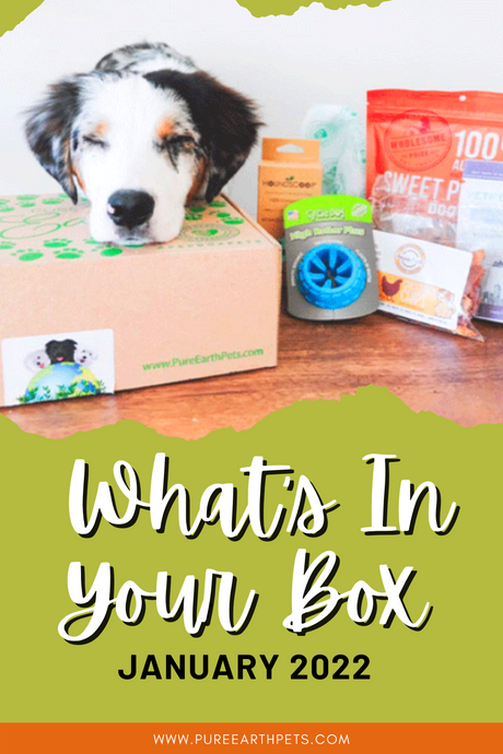 What's In Your Box: January 2022