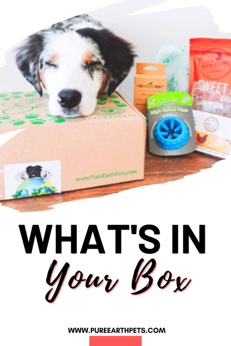 What's In Your Box: May 2021