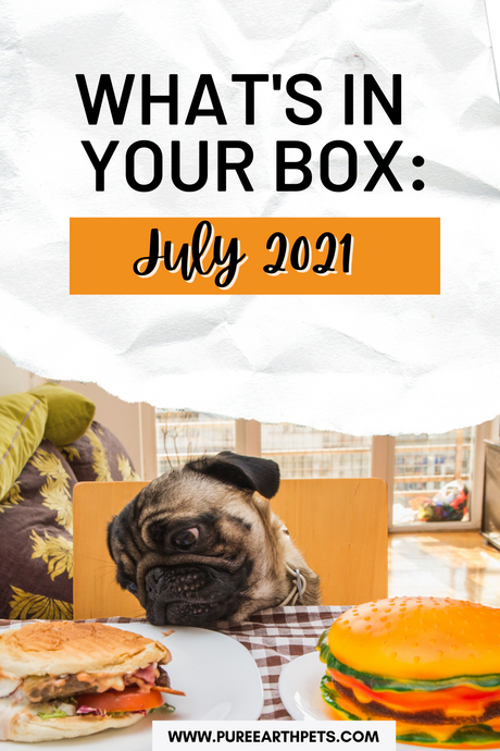 What's In Your Box: July 2021