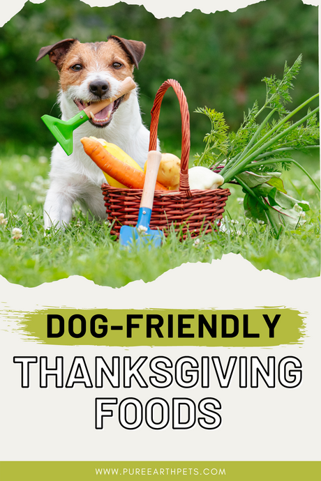 Dog-Friendly Thanksgiving Foods