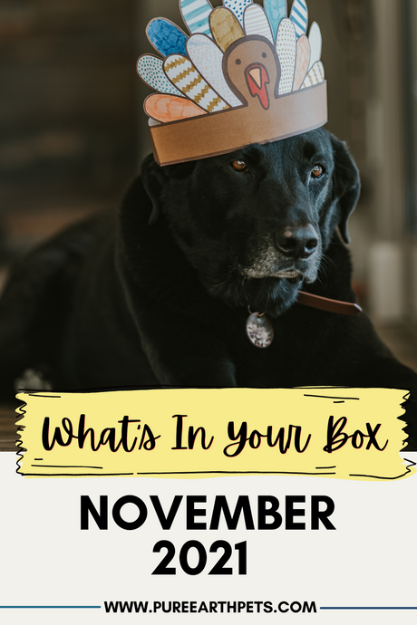 What’s In Your Box: November 2021