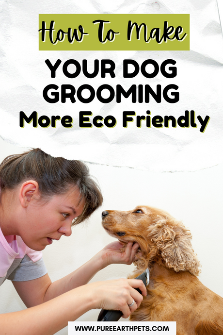 How To Make Your Dog Grooming More Eco-Friendly