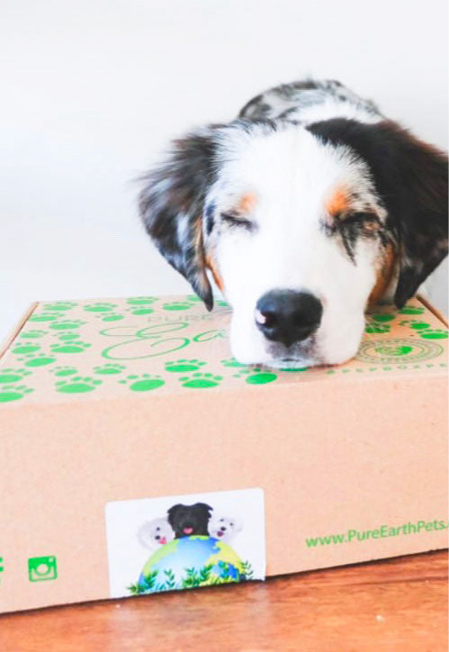 One-Time PEP Plush Mini- No Subscription