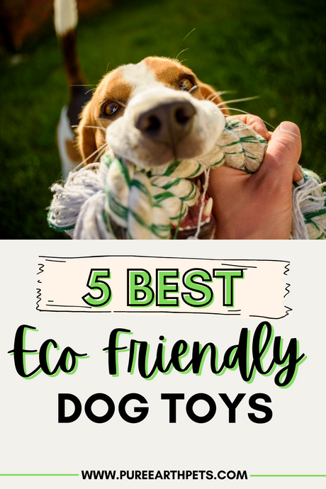 5 Best Eco-Friendly Dog Toys