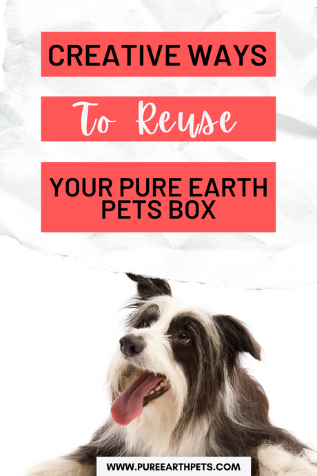 Creative Ways to Reuse Your Pure Earth Pets Box
