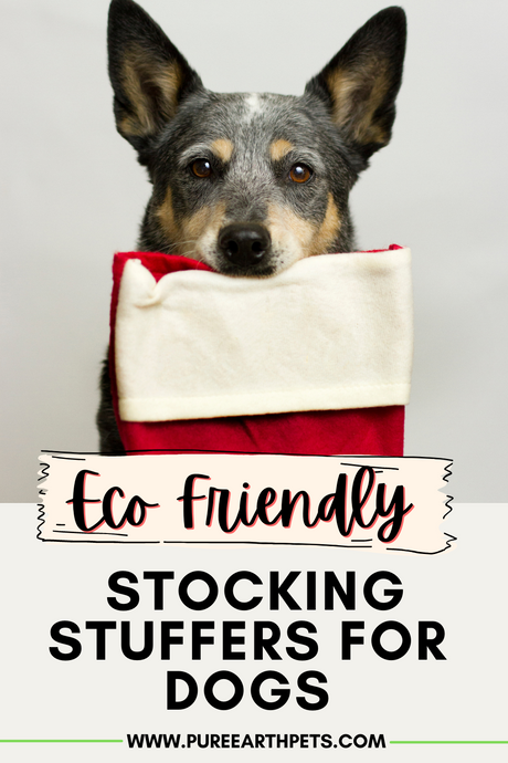 Eco Friendly Stockings and Stocking Stuffers for Dogs