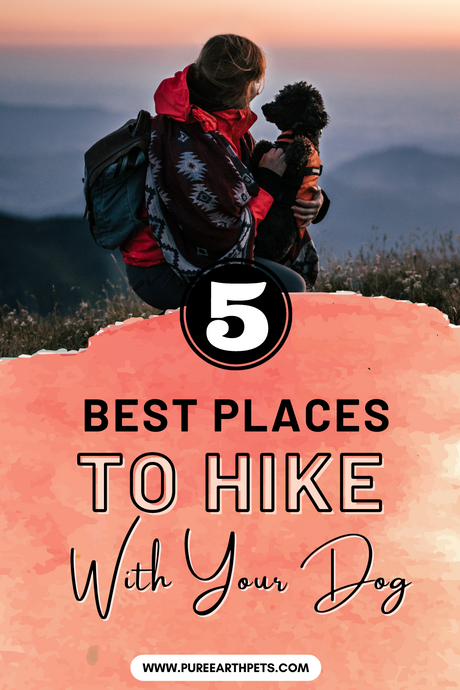 5 Great Hikes to Take with Your Dog