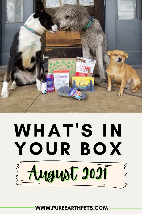 What's In Your Box: August 2021