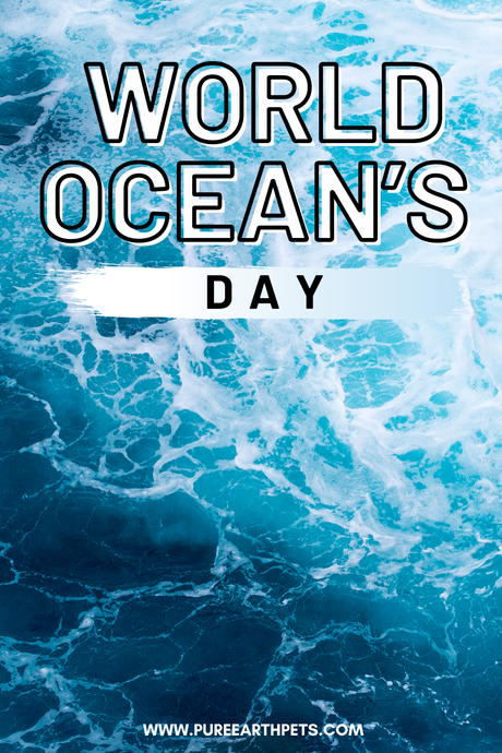 World Ocean’s Day