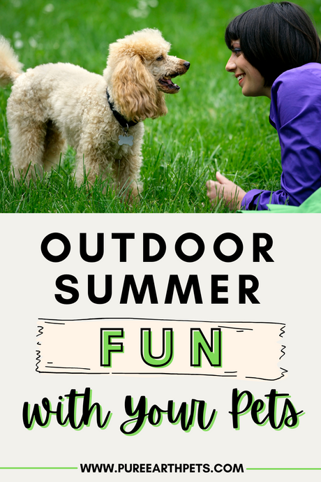 Outdoor Summer Fun with Your Pets