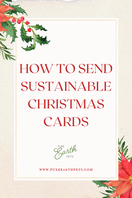 How To Send Sustainable Christmas Cards