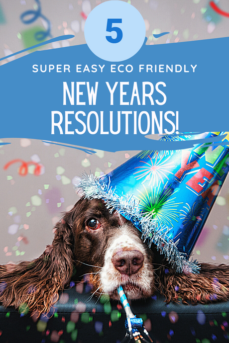 Five Super Easy Eco-Friendly Resolutions for 2021 (That are Good for You, Too!)