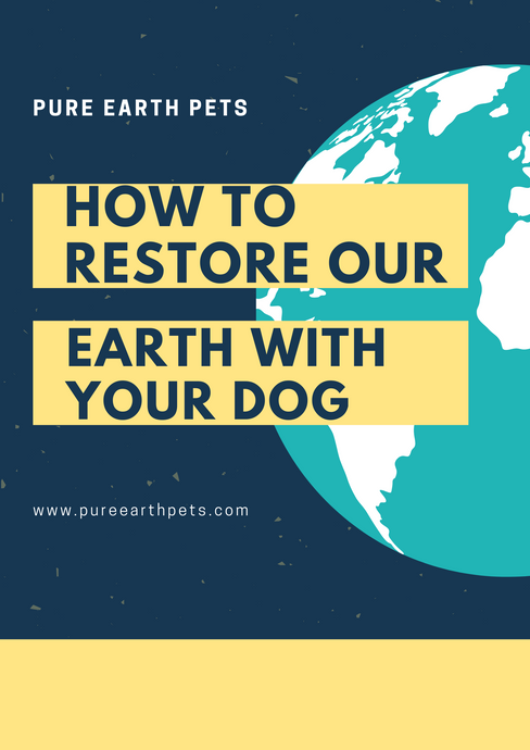 How To “Restore Our Earth” With Your Dog - Earth Day 2021