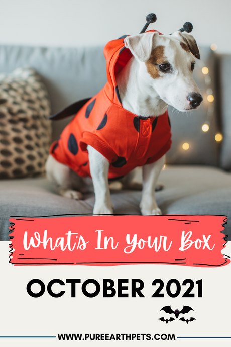 What's In Your Box: October 2021