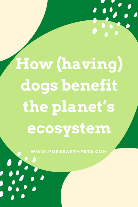 How (having) dogs benefit the planet’s ecosystem