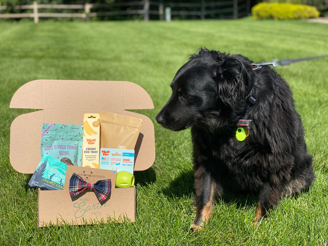 What's In Your Box: September 2020