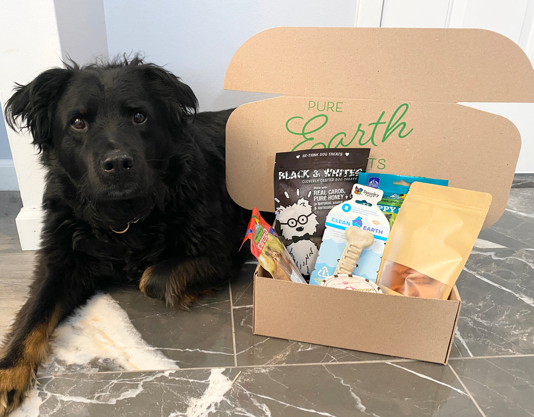 What's In Your Box: June 2021