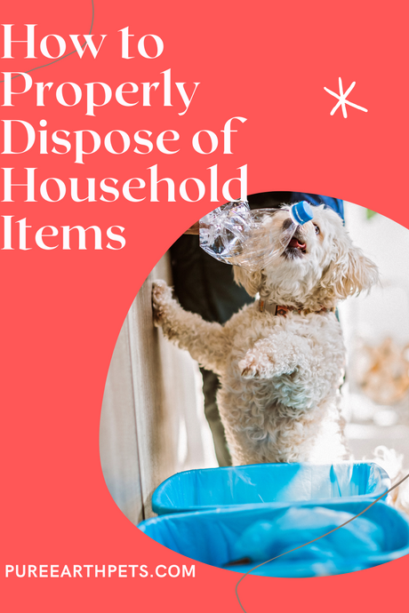 How to Properly Dispose of Household Products