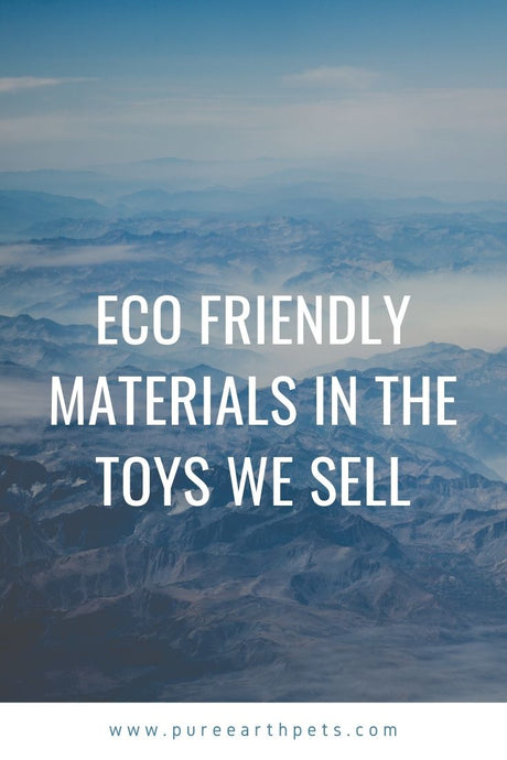 Eco Friendly Materials in the Dog Toys We Sell