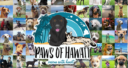 PAWS of Hawaii - August 2020 Charity of the Month