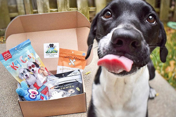 Eco Friendly Subscription Box for Dogs Pure Earth Pets 