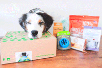 Cute Dog Sleeping on Eco Friendly Dog Subscription Box with Treats and Toys