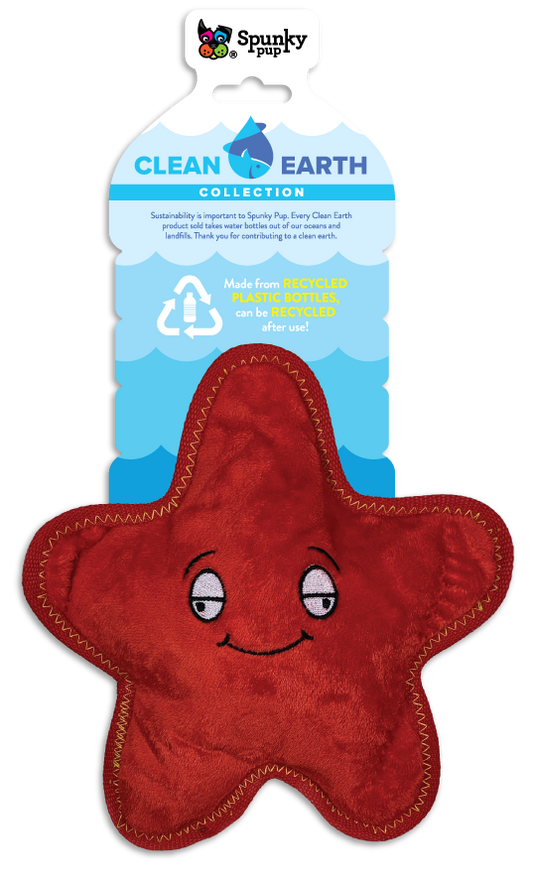 Spunky Pup Clean Earth Starfish Toy