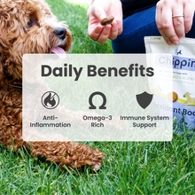Load image into Gallery viewer, Chippin Snacks - Antioxident
