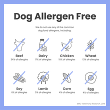 Load image into Gallery viewer, Chippin Snacks - Antioxident
