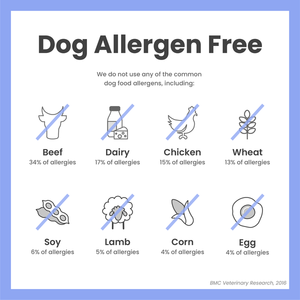 Chippin Snacks - Antioxident