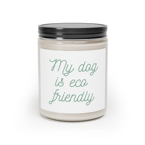 Scented Candle, 9oz
