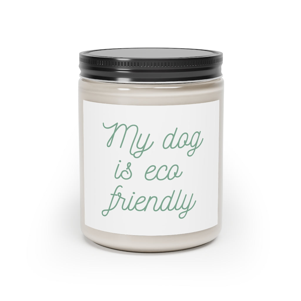 Scented Candle, 9oz