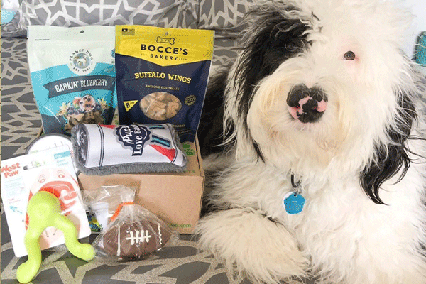 6 Month Subscription PEP Box