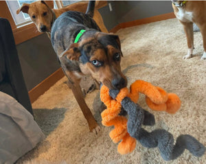 Duraplush Springy Thing Dog Toy - Orange