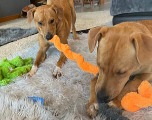 Duraplush Springy Thing Dog Toy - Orange