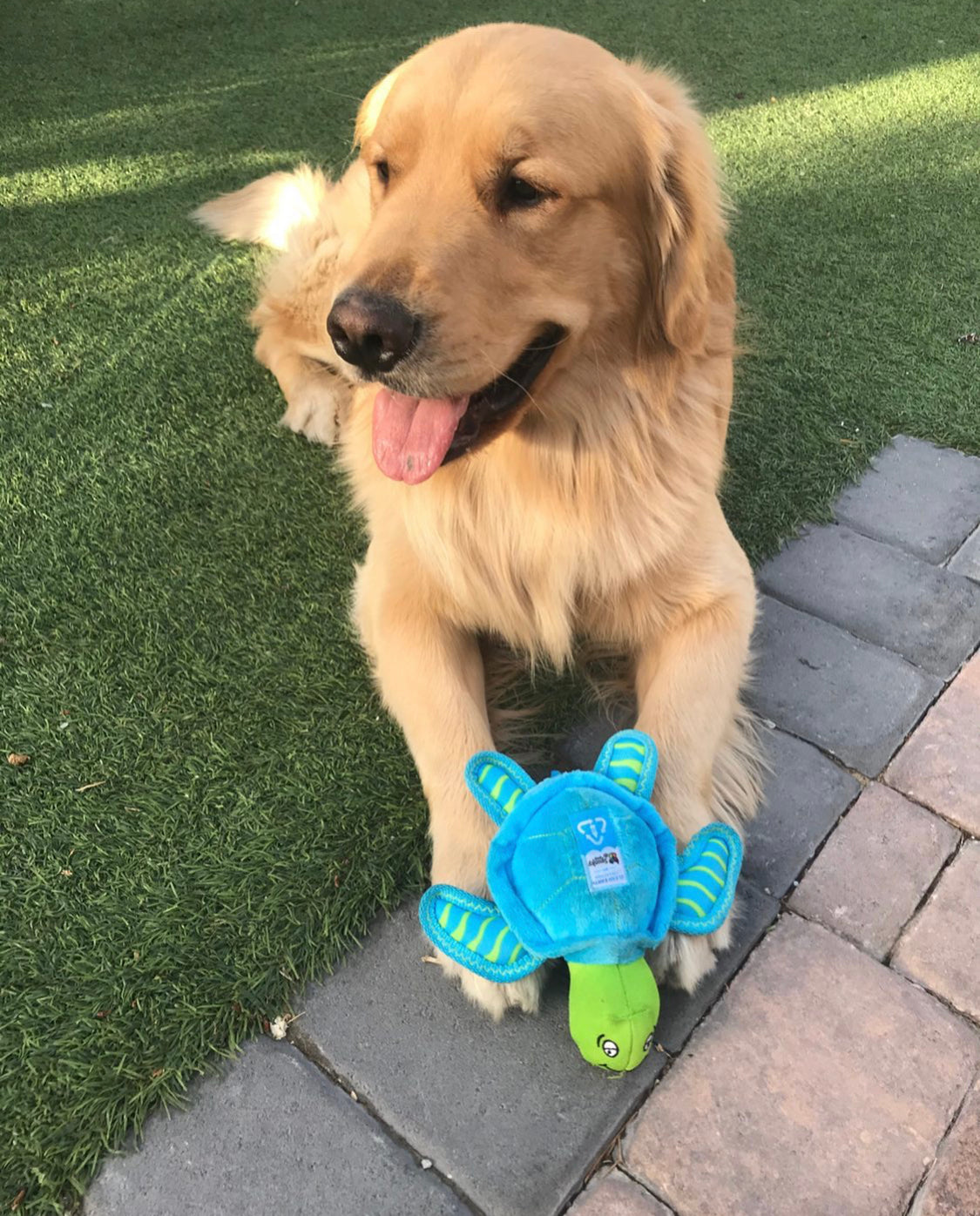 Spunky Pup Clean Earth Plush Turtle