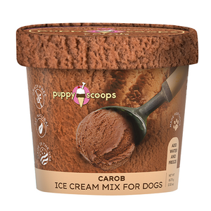 Puppy Scoops Ice Cream