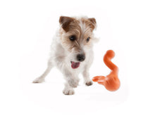 Load image into Gallery viewer, Tizzi Dog Toy (Green)
